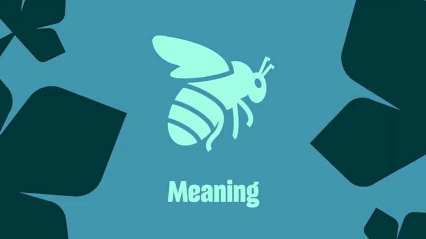Meaning