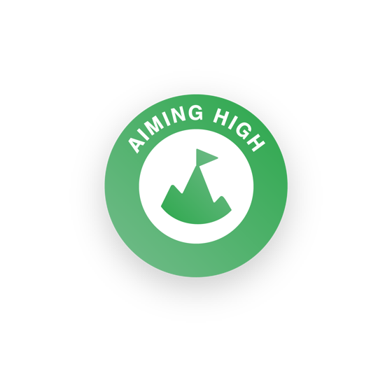6 Aiming High Copy