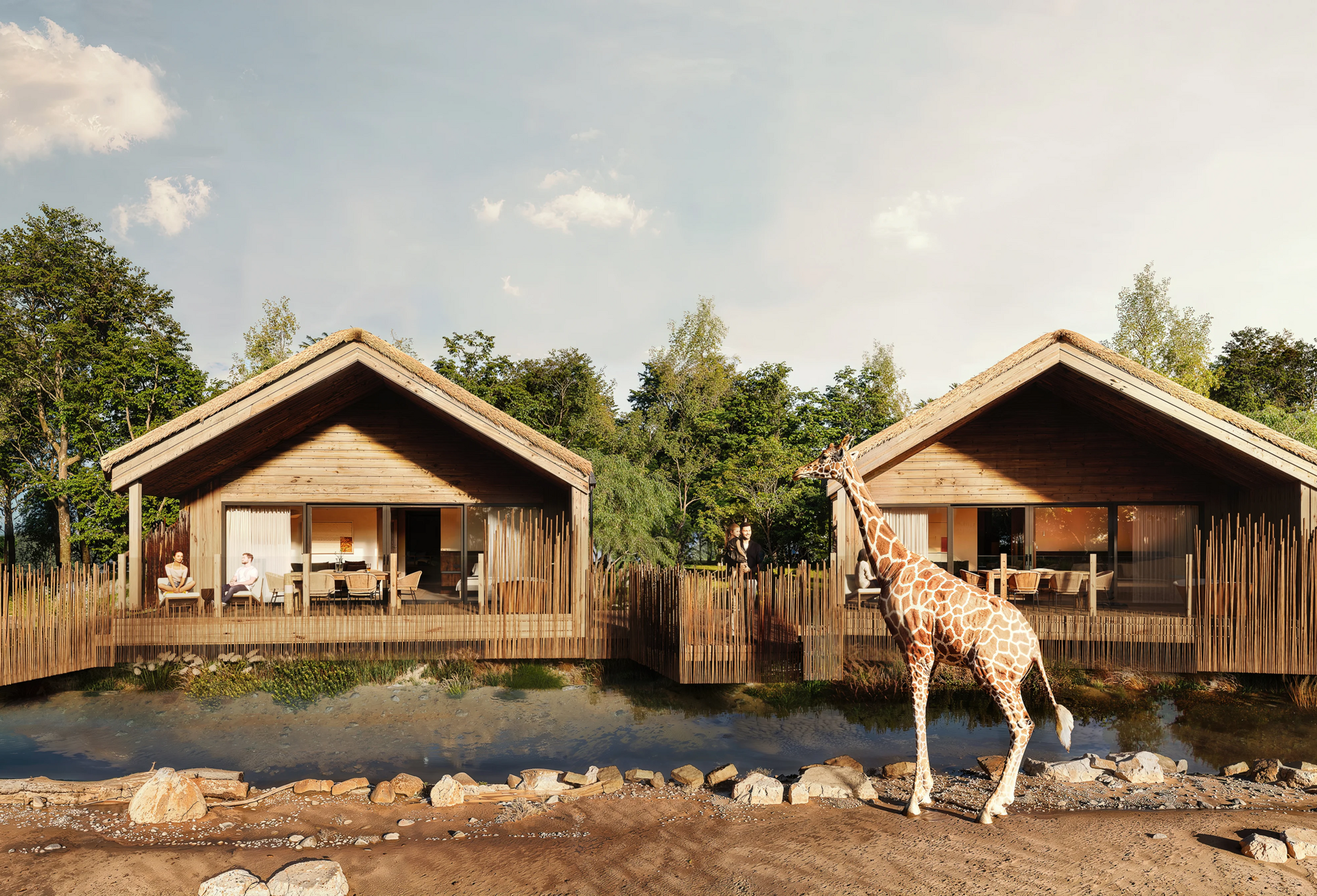 View Of Giraffe Lodge Landscape