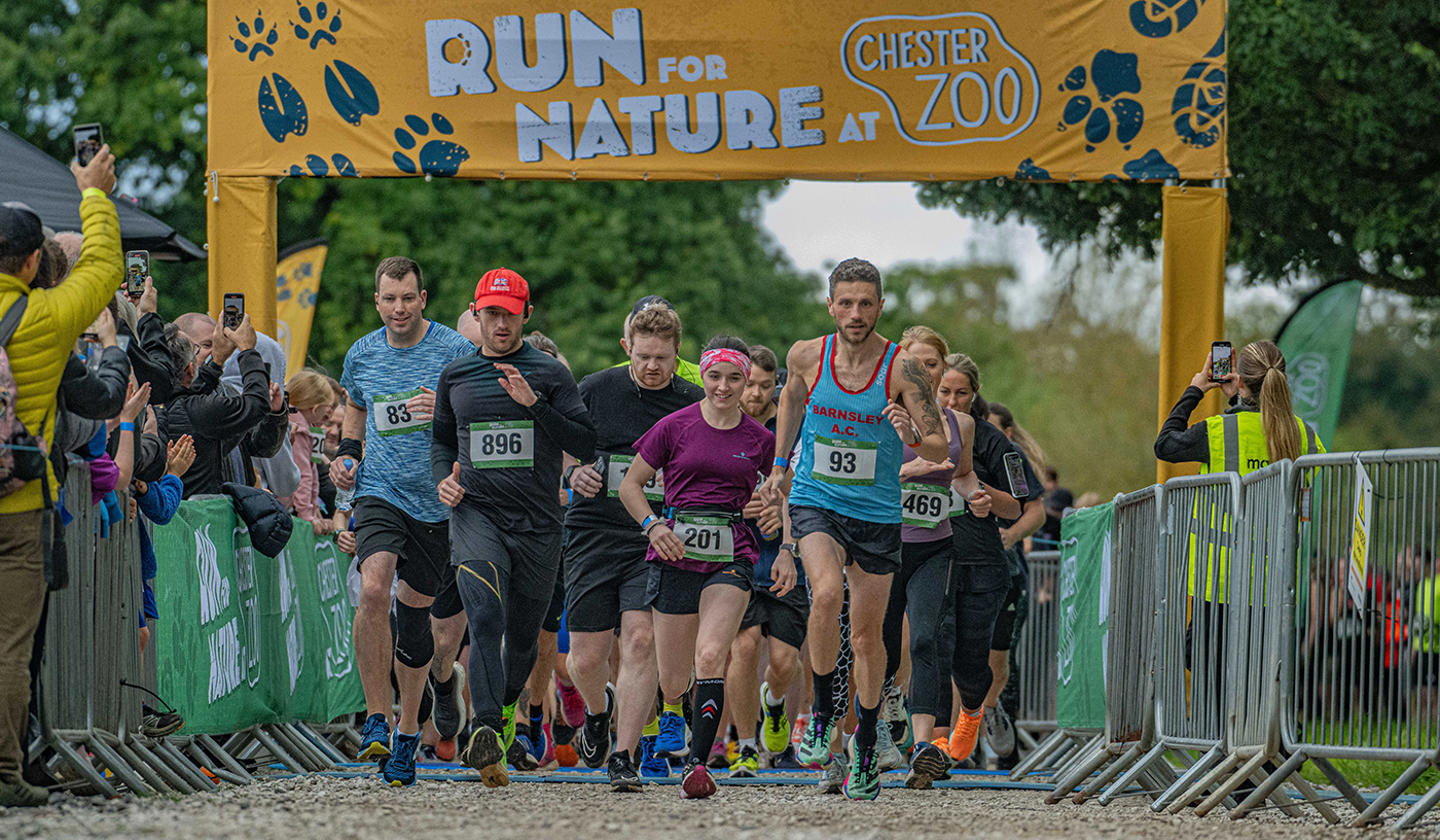 CZ 10K Runners