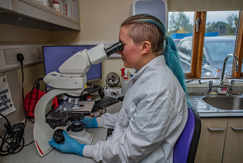 Science Centre at Chester Zoo, staff member looking in microscope