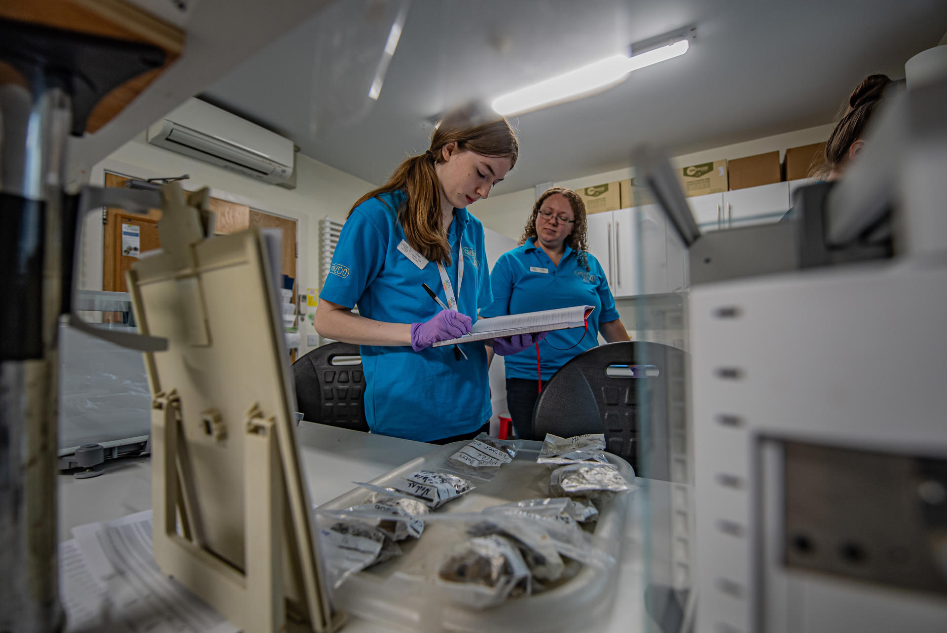 Two Chester Zoo staff members in the science lab making notes from poo samples