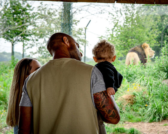 Breakfast With The Lions 2 Scaled