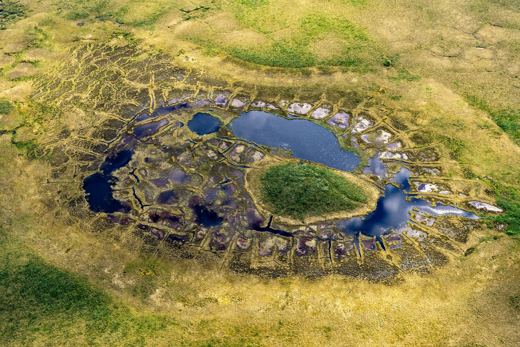 Natalya Saprunova Permafrost Thaw Reshapes Arctic Migration 114980 (1)