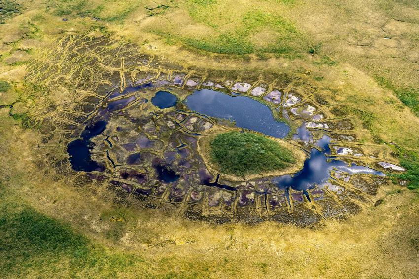 Natalya Saprunova Permafrost Thaw Reshapes Arctic Migration 114980 (1)