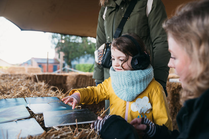 Chesterzoo Wellness Elliottwaring 100