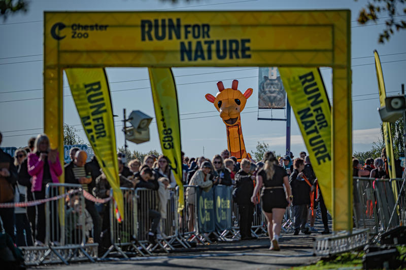 Zoorun 77