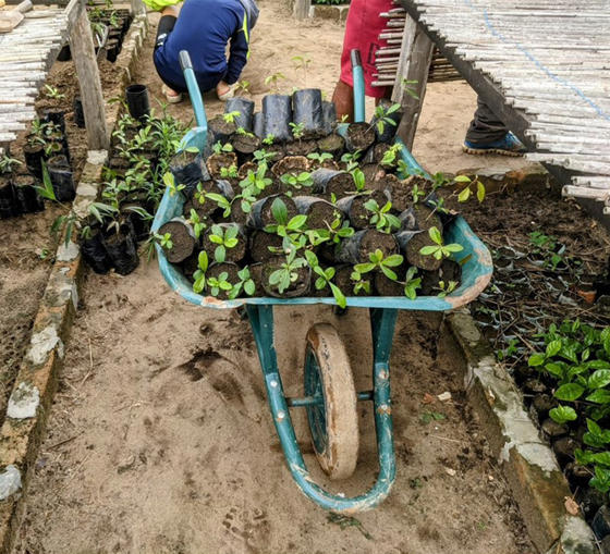 Nursery Exchange Project 1 (1)