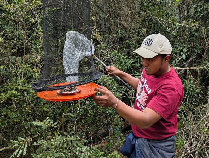Biggest Madagascar Butterfly Survey Taking Place (Copyright Madagasikara Voakajy) Harilefitra Ratovo Andrianarisoa (Copyright Madagasikara Voakajy) (1)