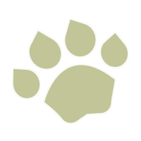 Illustrated Mammal
