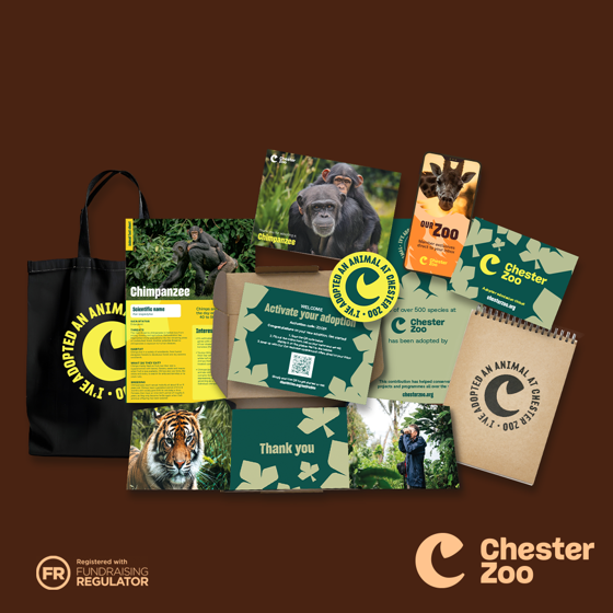 Adoption Landing Page Assets 1080X1080 Chimpanzee