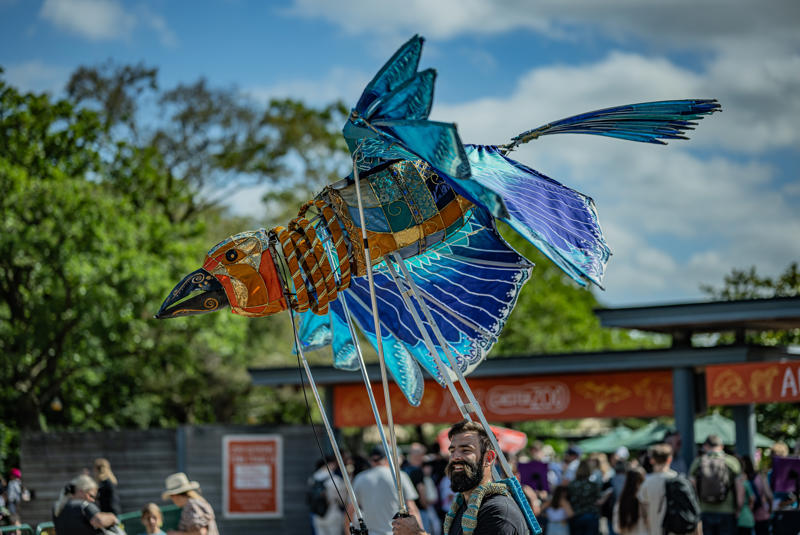 Theatrical Performances, Acrobats, Jugglers And Stilt Walkers Will Roam The The Zoo During Afterglow 15