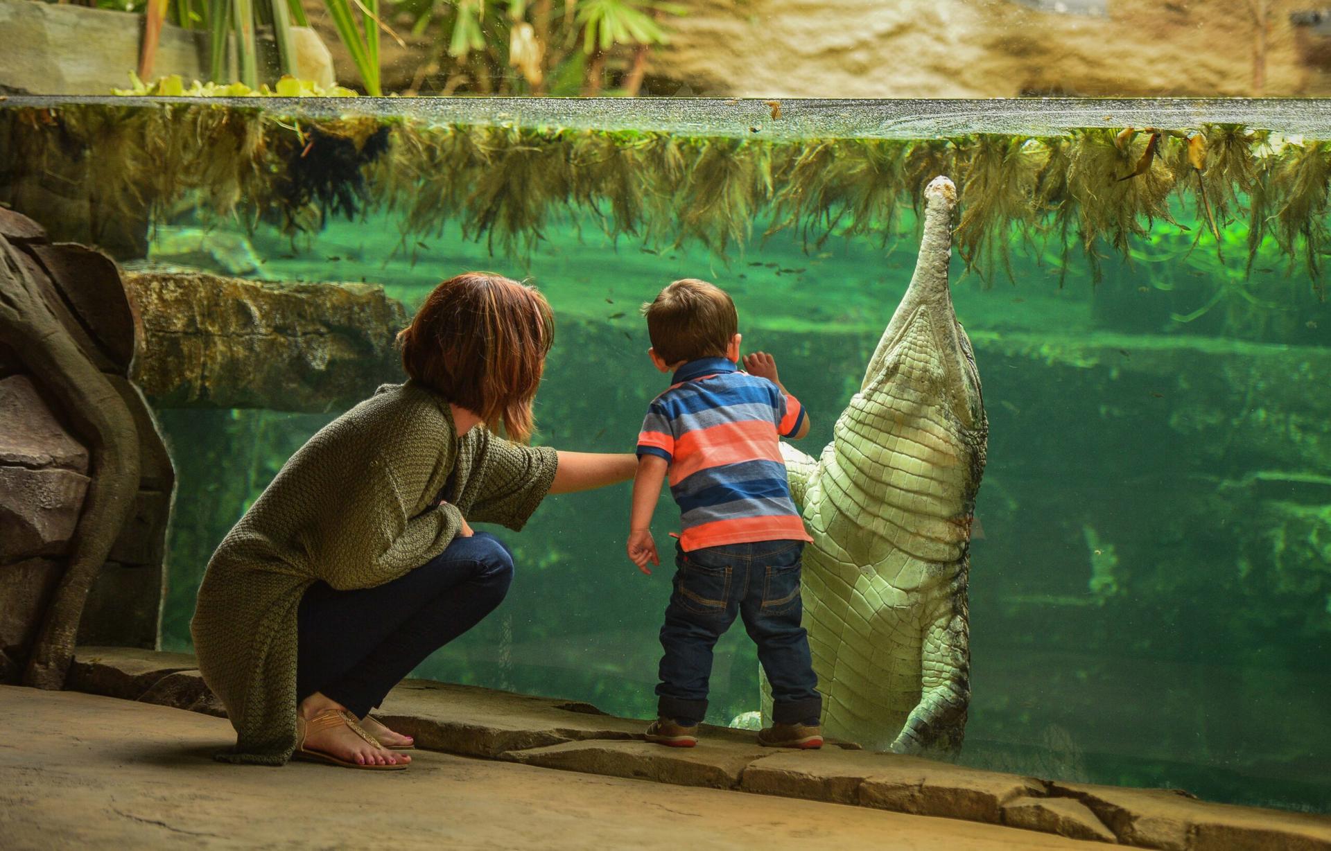 Mother And Son Looking Into Gharial Pool