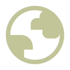 Globe Icon