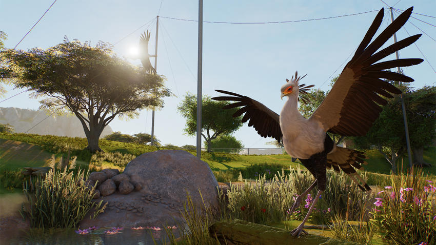 9 PZ2 Gameplay Shot02 Secretary Bird Beauty 1920X1080