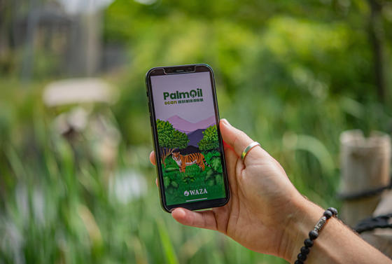 Palmoil Scan App