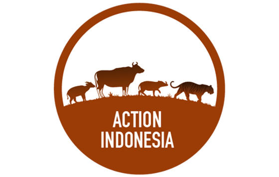 Action Indonesia