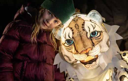 Snow Leopard Puppet, Lanterns And Light 2024 (34)