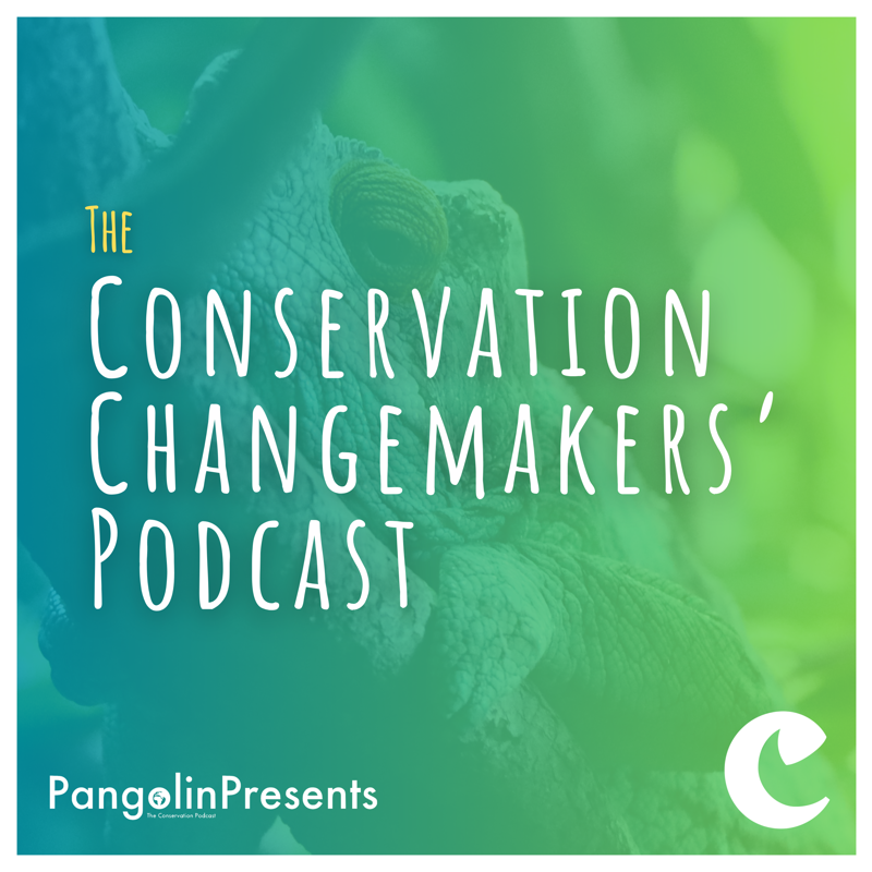 Changemaker Podcast Artwork
