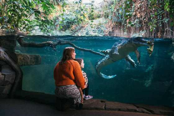 Chesterzoo Wellness Elliottwaring 36