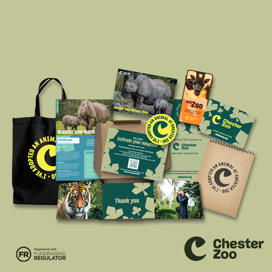 Packshot Greater One Horned Rhino 1 1
