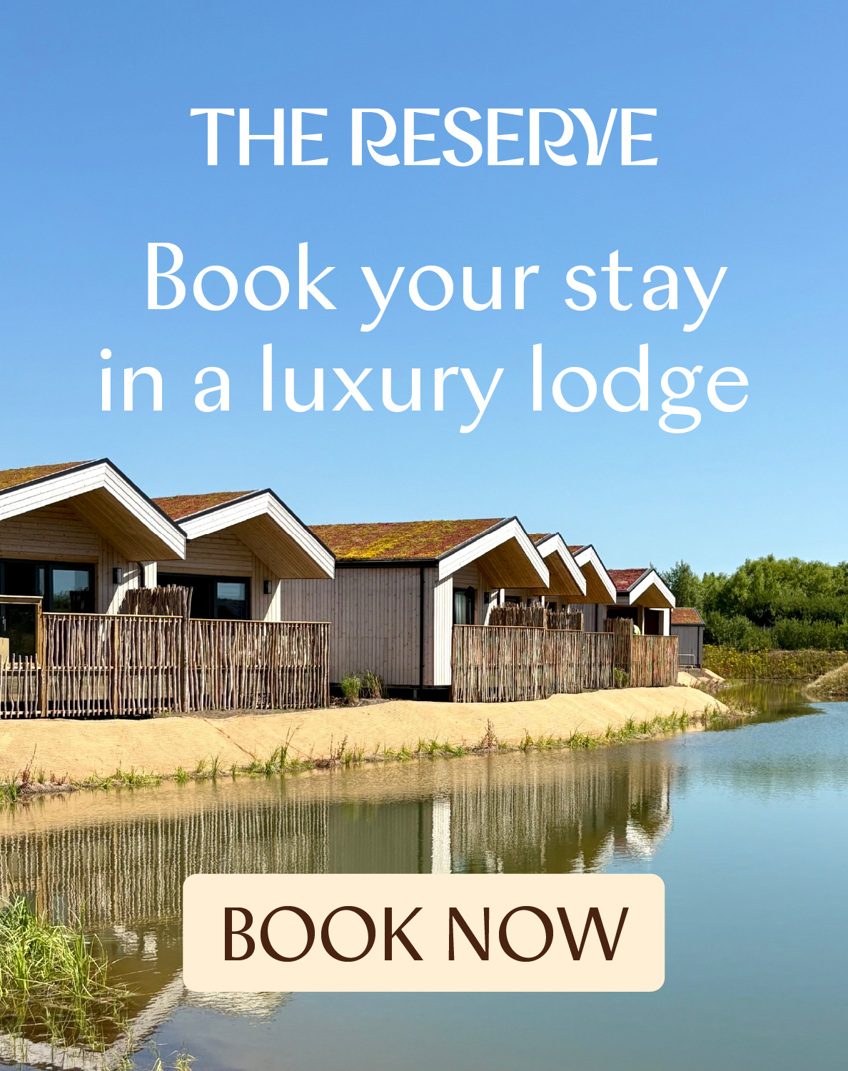 Reserve (1)
