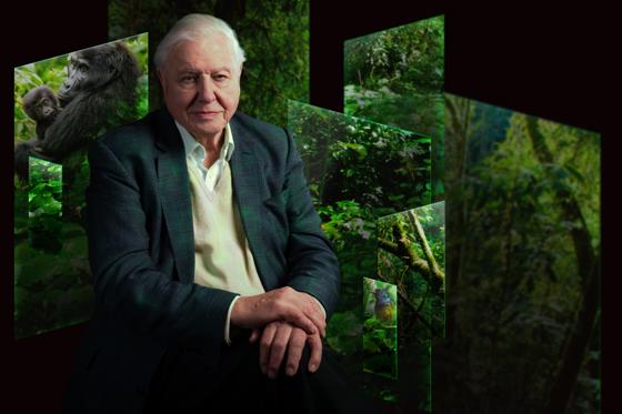 Our Story With David Attenborough ART NO TEXT (C) Trustees Of The Natural History Museum (1)