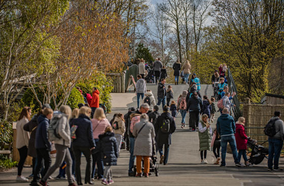 Chester Zoo Visitors