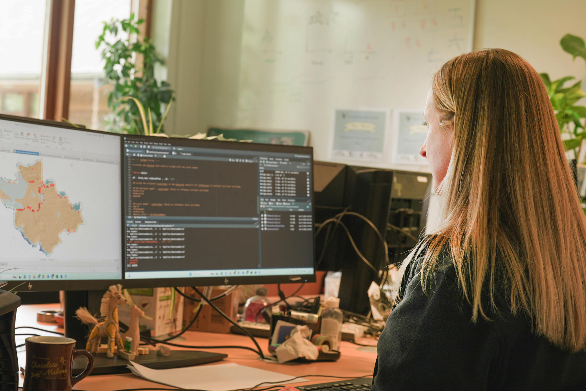 An image showing a woman working on computer coding to create a map of human-elephant interactions