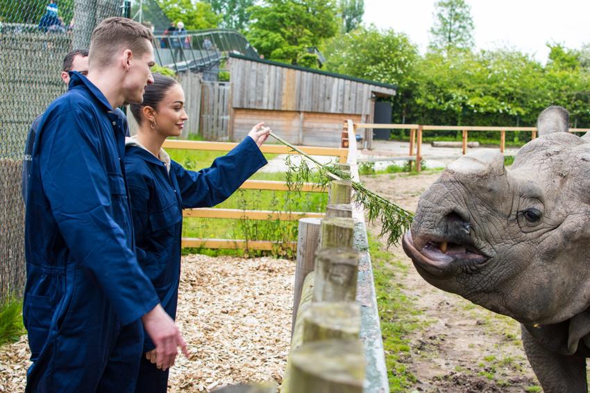 Rhino Experience 1