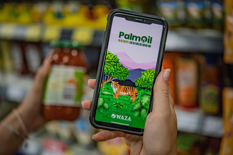 Palmoil Scan App 2