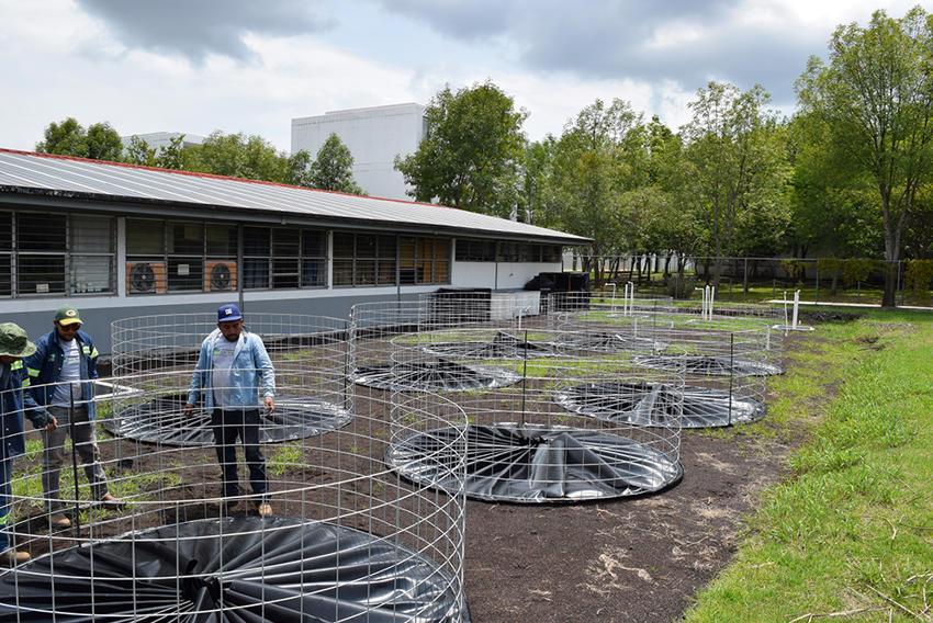 Fish Ark Newly Arrived Ponds For Breeding Ambystoma And Goodeids
