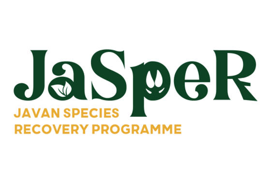 Jasper Logo