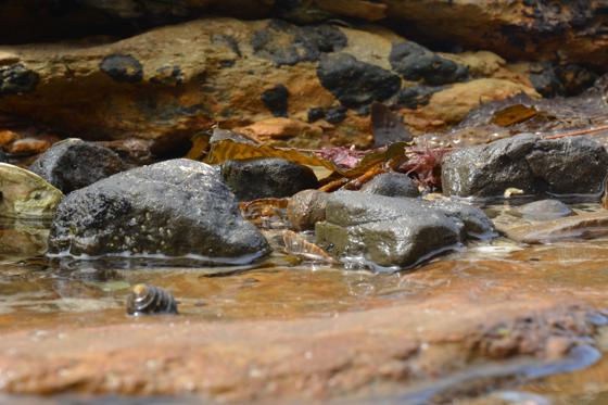 Rockpool