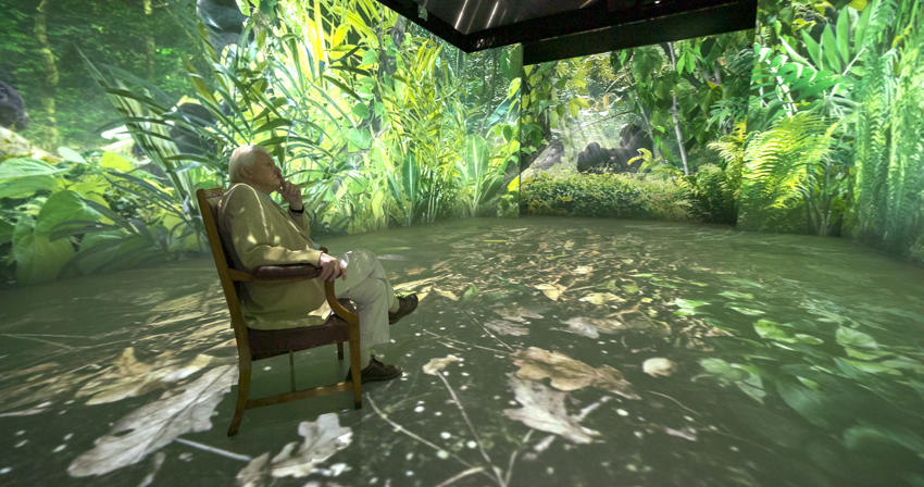 Sir David Attenborough Experiences Our Story With David Attenborough 8 (C) Open Planet Studios, Photographer Gavin Thurston (1)