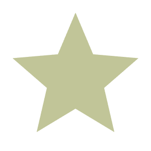 Star Icon