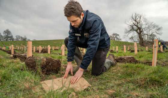 Chester Zoo Plants 19000 New Trees In Bid To Restore Cheshires Lost Woodlands2 1400X817