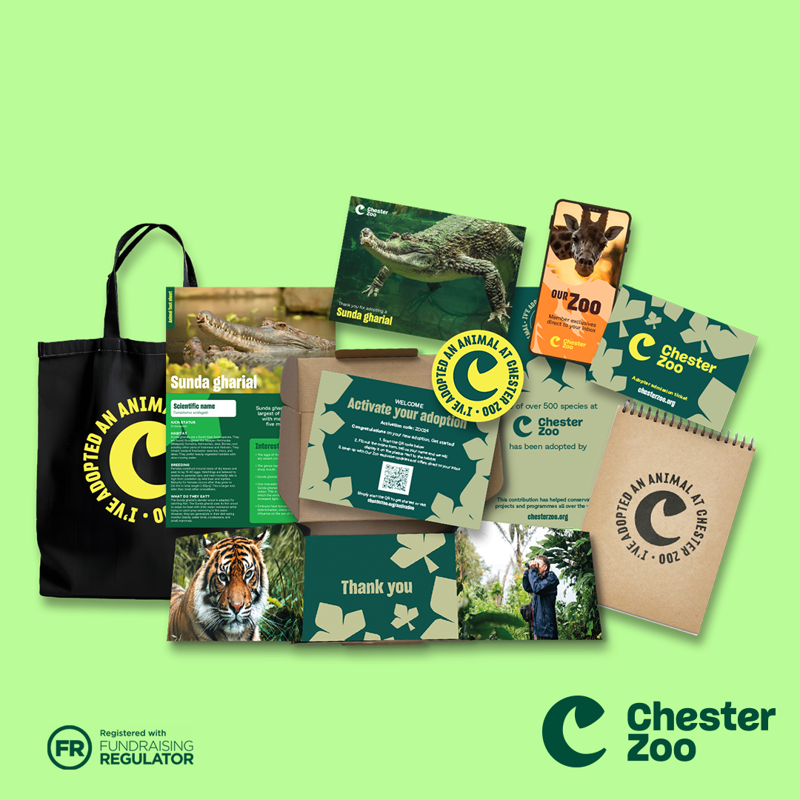 Adoption Landing Page Assets 1080X1080 Gharial 1400X1400