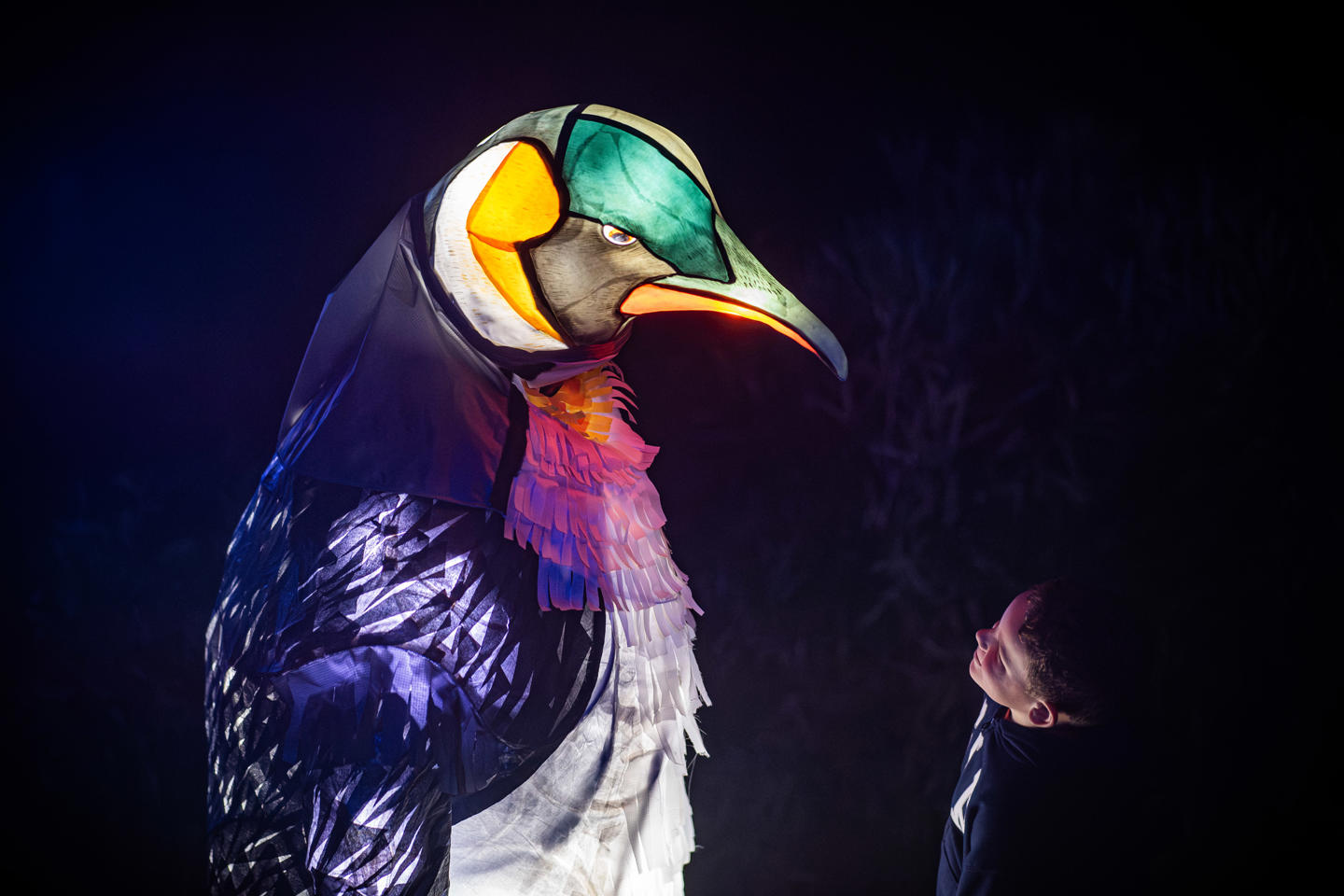 Steve Rawlins Lanterns & Light 008